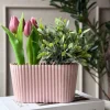 VIAMAJA Pynt Til Opslagstavler|Pynt Til Opslagstavler<Aflang potte i beton look - Rosa