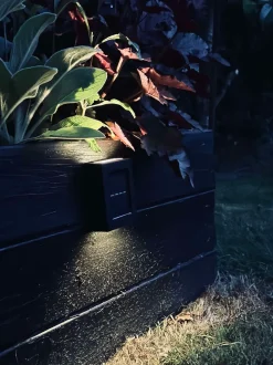 VIAMAJA Lys Og Led|Udendørs Led<Aura Solar Lampe - 2 Pak