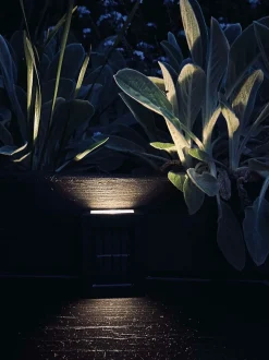 VIAMAJA Lys Og Led|Udendørs Led<Aura Solar Lampe - 2 Pak
