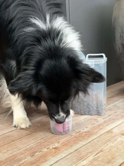 VIAMAJA Hund|Kat<Beholder m. Målebæger til dyrefoder