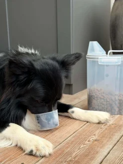 VIAMAJA Hund|Kat<Beholder m. Målebæger til dyrefoder