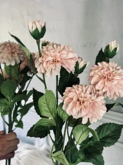 VIAMAJA Blomster<Blomst Dahlia