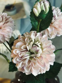 VIAMAJA Blomster<Blomst Dahlia