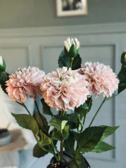 VIAMAJA Blomster<Blomst Dahlia