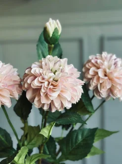 VIAMAJA Blomster<Blomst Dahlia