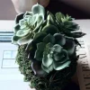VIAMAJA Blomster<Blomst husløg moskugle