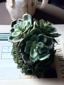 VIAMAJA Blomster<Blomst husløg moskugle