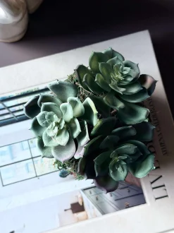 VIAMAJA Blomster<Blomst husløg moskugle