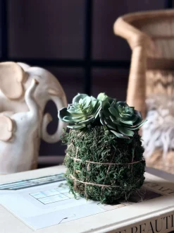 VIAMAJA Blomster<Blomst husløg moskugle