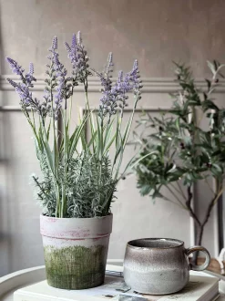 VIAMAJA Blomster<Blomst i potte