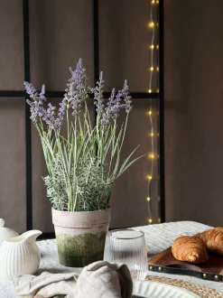 VIAMAJA Blomster<Blomst i potte