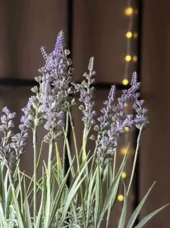 VIAMAJA Blomster<Blomst i potte