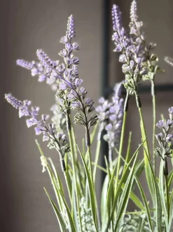 VIAMAJA Blomster<Blomst i potte