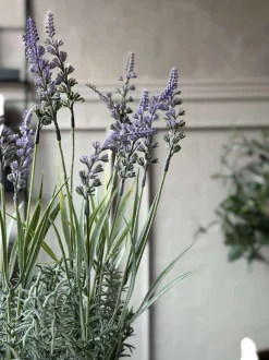 VIAMAJA Blomster<Blomst i potte