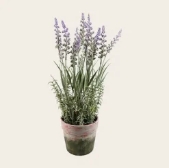 VIAMAJA Blomster<Blomst i potte