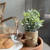 VIAMAJA Blomster<Blomst i potte
