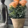VIAMAJA Blomster|Påske<Blomst i rustik potte - Coral