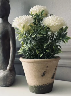 VIAMAJA Blomster|Påske<Blomst i rustik potte - Hvid