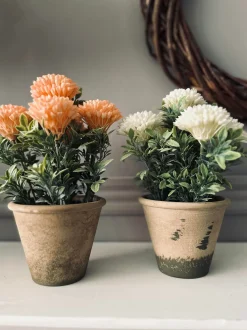 VIAMAJA Blomster|Påske<Blomst i rustik potte - Hvid