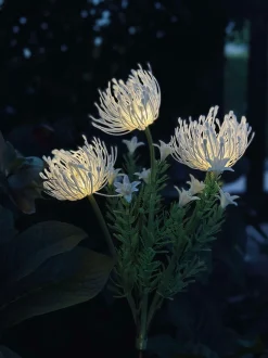 VIAMAJA Lys Og Led|Udendørs Led<Blomst med solceller - Spider Lili hvid
