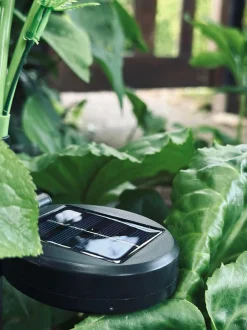 VIAMAJA Lys Og Led|Udendørs Led<Blomst med solceller - Spider Lili hvid