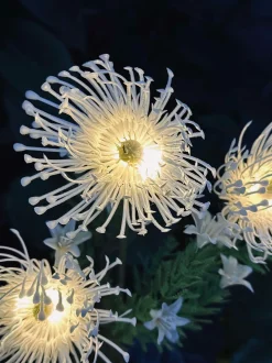 VIAMAJA Lys Og Led|Udendørs Led<Blomst med solceller - Spider Lili hvid