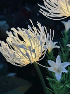 VIAMAJA Lys Og Led|Udendørs Led<Blomst med solceller - Spider Lili hvid