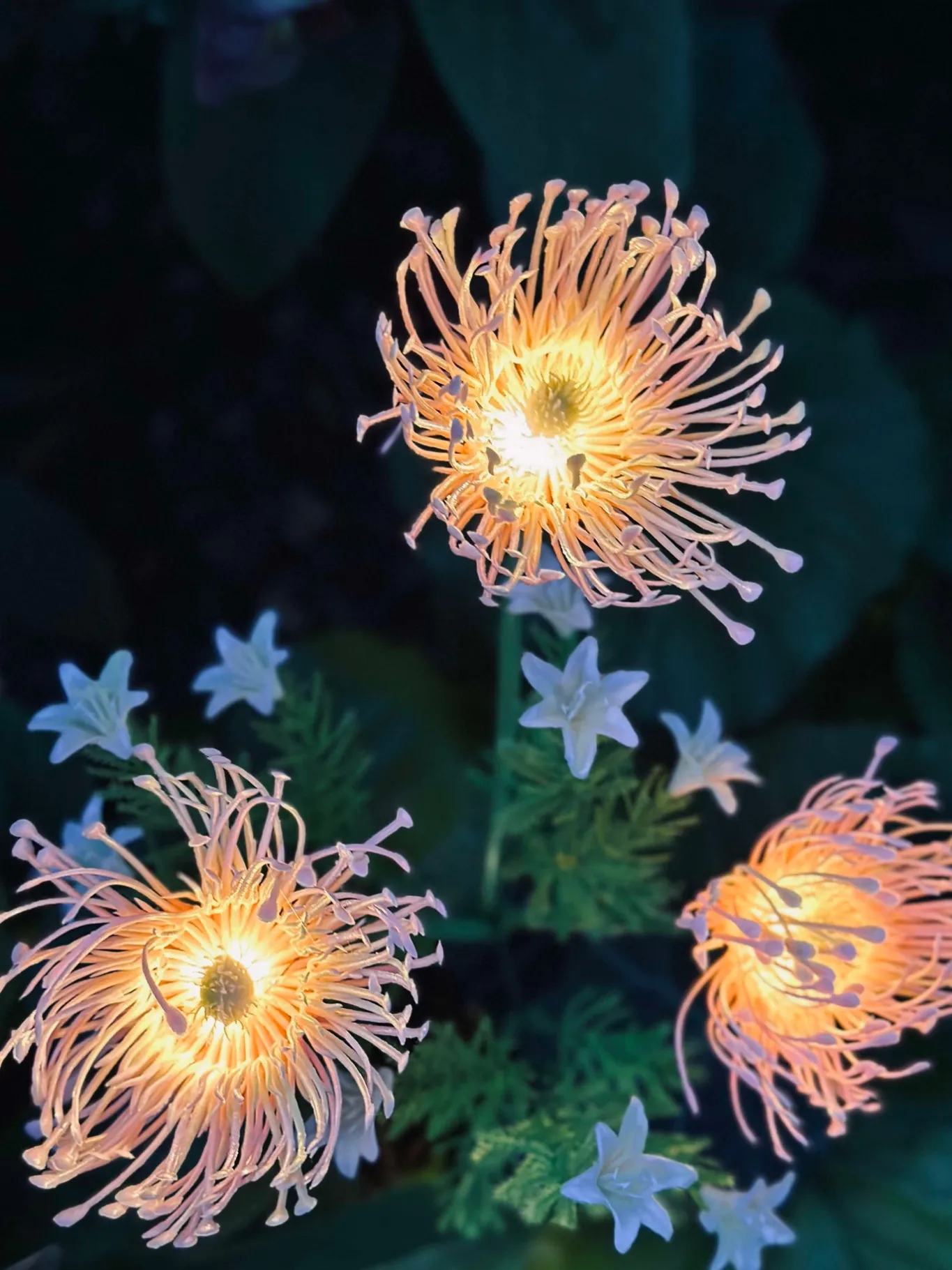 VIAMAJA Lys Og Led|Udendørs Led<Blomst med solceller - Spider Lili rose
