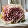 VIAMAJA Blomster<Blomst Pæon - Antik Cream / rosa