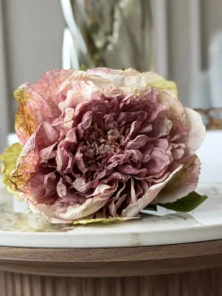 VIAMAJA Blomster<Blomst Pæon - Antik Cream / rosa