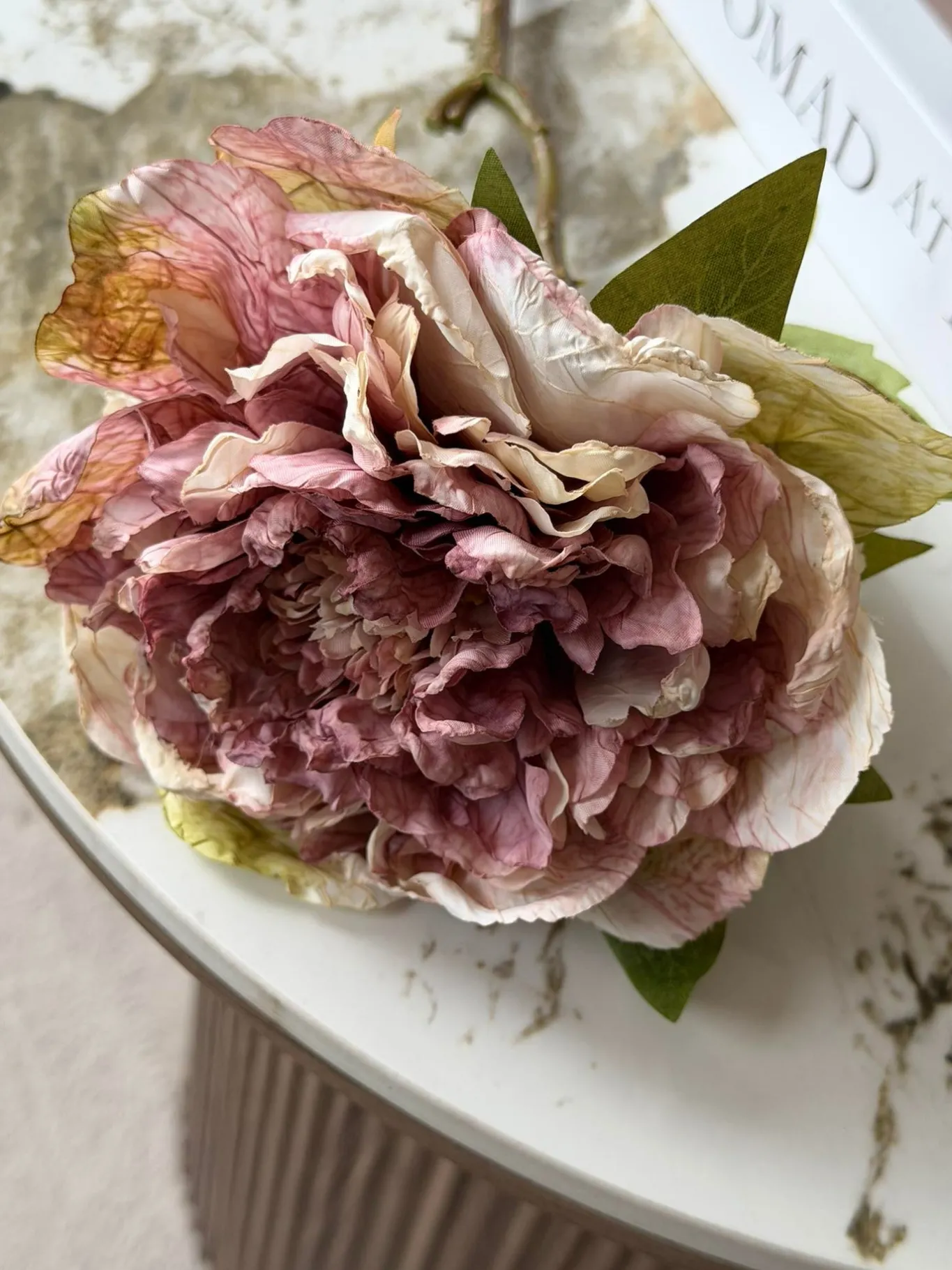 VIAMAJA Blomster<Blomst Pæon - Antik Cream / rosa