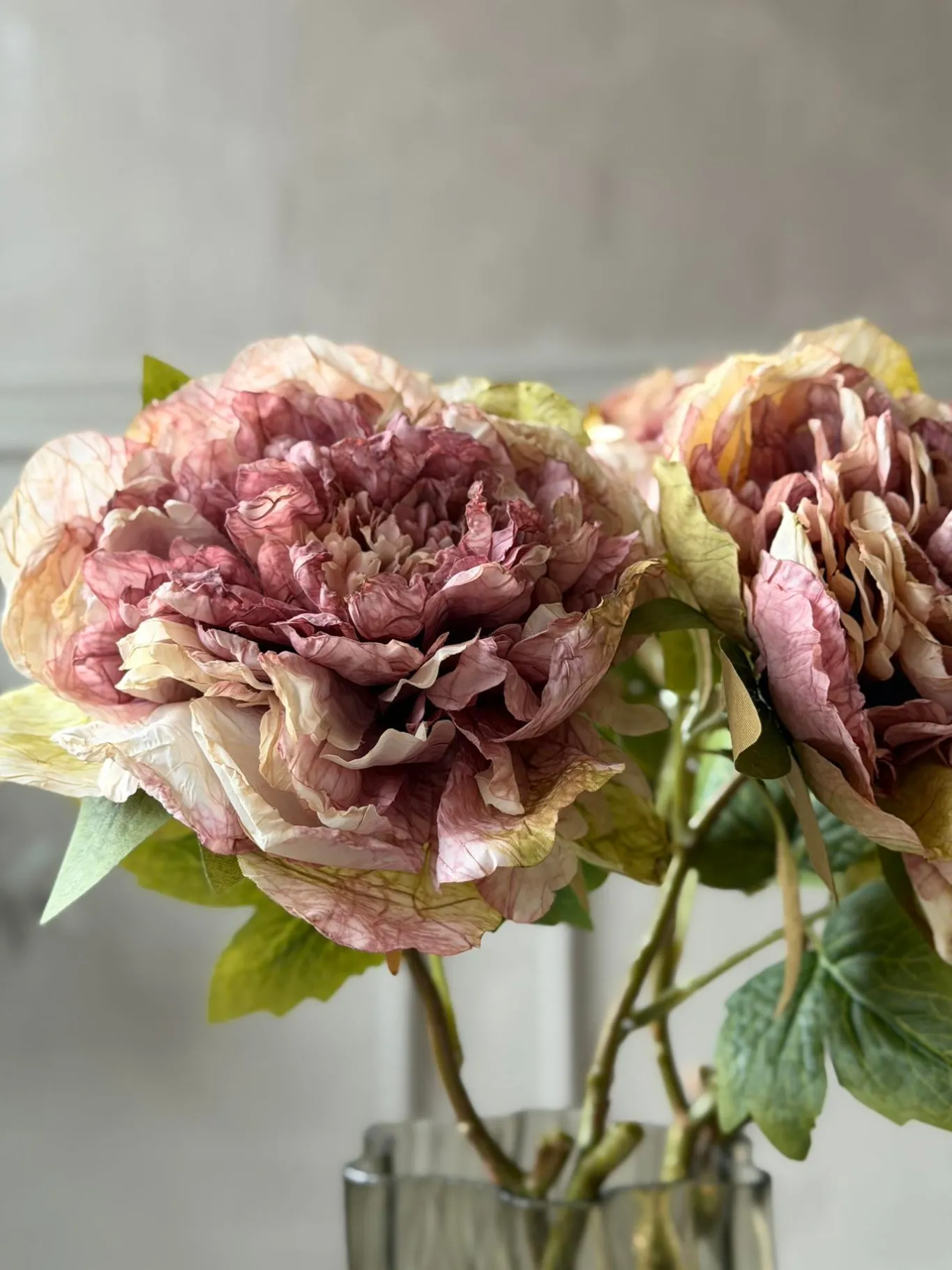 VIAMAJA Blomster<Blomst Pæon - Antik Cream / rosa