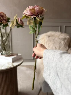 VIAMAJA Blomster<Blomst Pæon - Antik Cream / rosa
