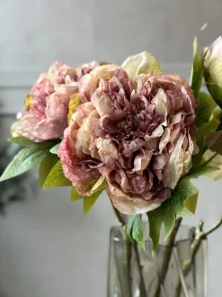 VIAMAJA Blomster<Blomst Pæon - Antik Cream / rosa