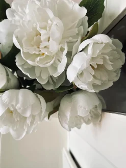 VIAMAJA Blomster<Blomst Pæon hvid