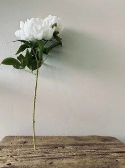 VIAMAJA Blomster<Blomst Pæon hvid