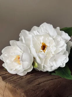 VIAMAJA Blomster<Blomst Pæon hvid