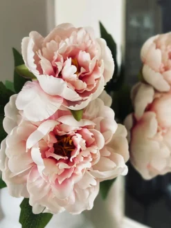 VIAMAJA Blomster<Blomst Pæon pink