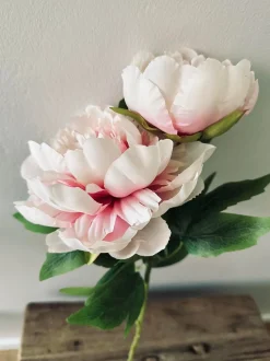 VIAMAJA Blomster<Blomst Pæon pink