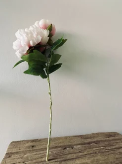 VIAMAJA Blomster<Blomst Pæon pink