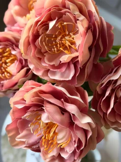 VIAMAJA Blomster<Blomst Pæon Rosa