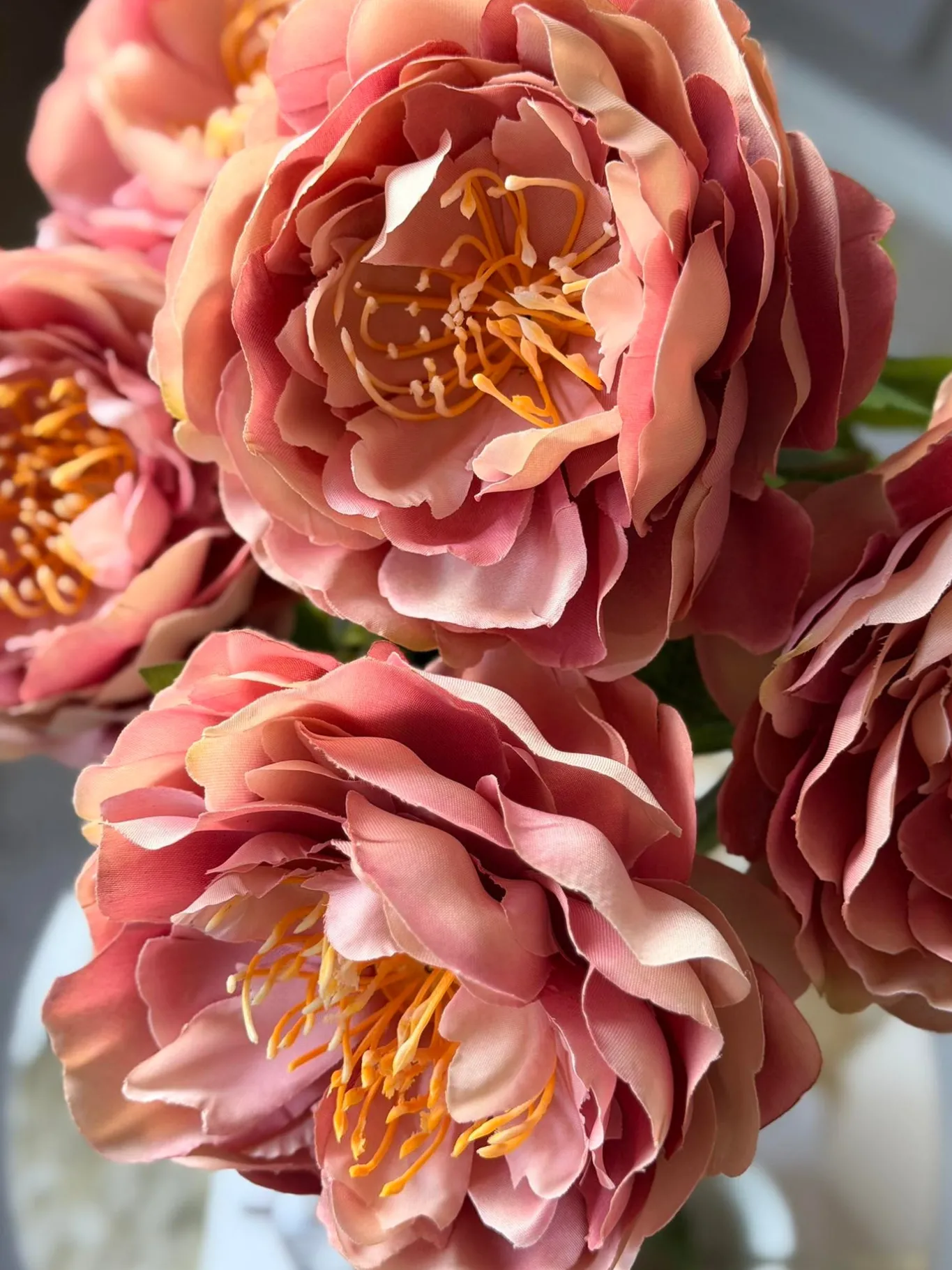 VIAMAJA Blomster<Blomst Pæon Rosa