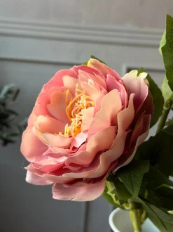 VIAMAJA Blomster<Blomst Pæon Rosa