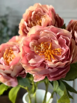 VIAMAJA Blomster<Blomst Pæon Rosa