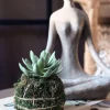 VIAMAJA Blomster<Blomst sukkulent moskugle