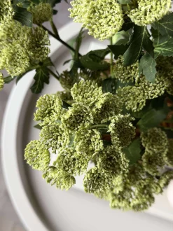 VIAMAJA Blomster<Blomsterstilk - Lime