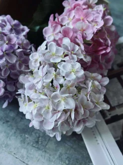 VIAMAJA Blomster<Buket - Hortensia Pink / Lilla