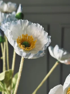 VIAMAJA Blomster<Buket blå valmuer