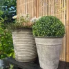 VIAMAJA Blomster<Buksbom kugle 30cm