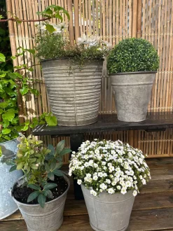 VIAMAJA Blomster<Buksbom kugle 30cm